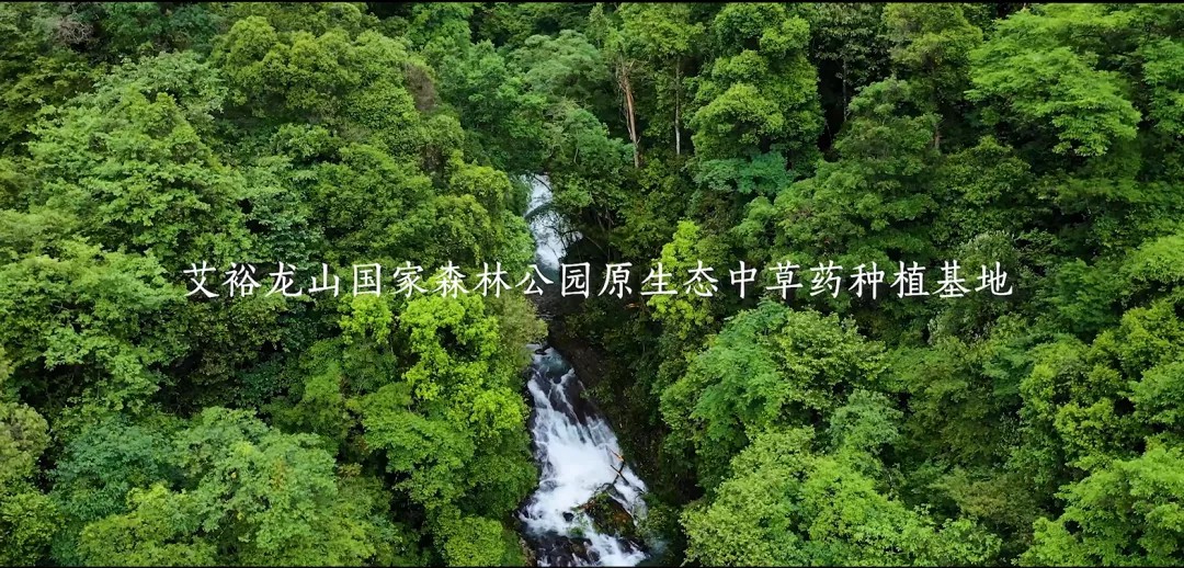 “裕我同行”丨選對(duì)產(chǎn)品，助攻保護(hù)力UP!